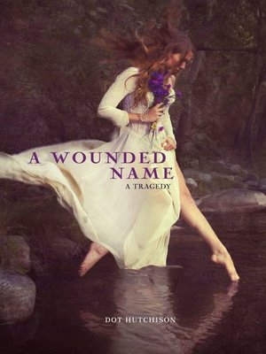 cover image of A Wounded Name
